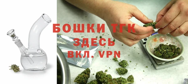 ешки Аркадак