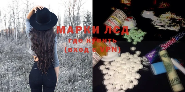 ешки Аркадак