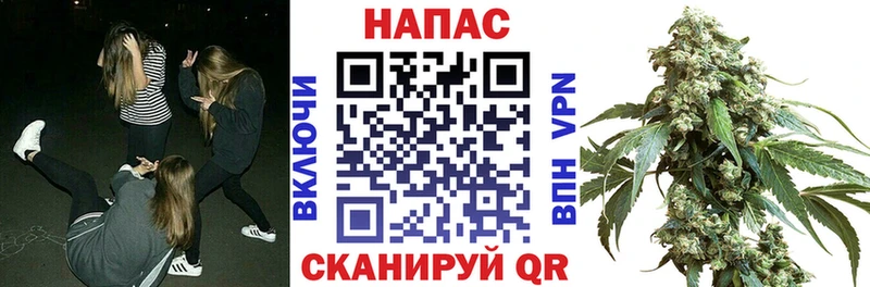 Каннабис семена  Хилок 